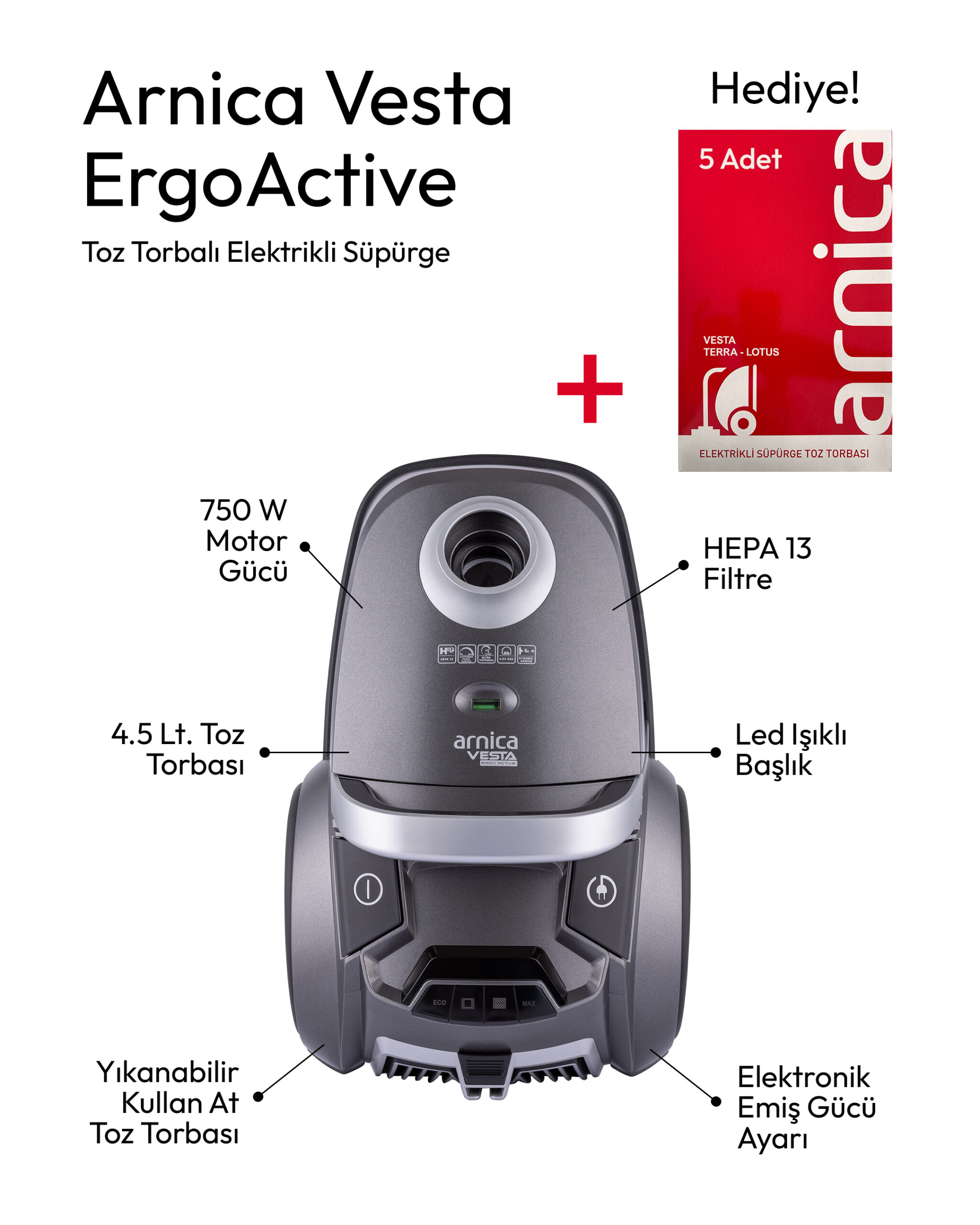 ArnicaVestaErgoActive1